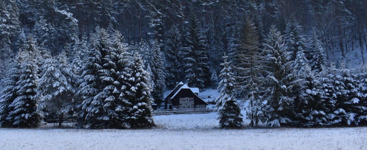 Hlucov Lesni Chalupa Kokorin Exterior foto